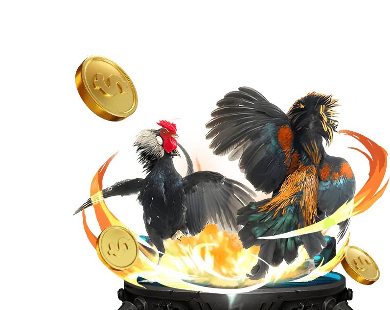 Cá cược Thể Thao KU99