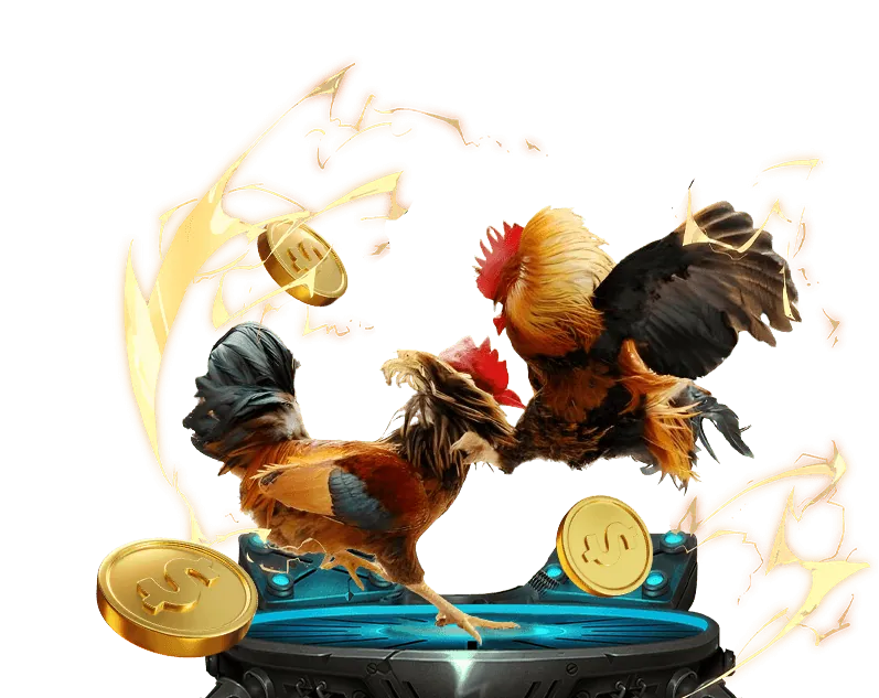 Giải trí trực tiếp tại ku99